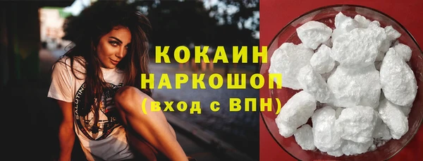 сатива Горняк