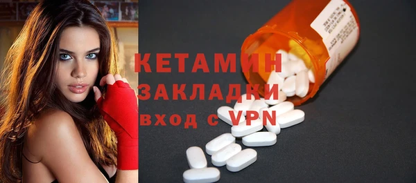 сатива Горняк