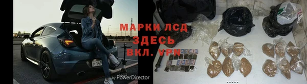 сатива Горняк