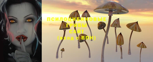спайс Горнозаводск