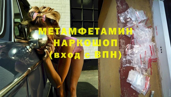сатива Горняк