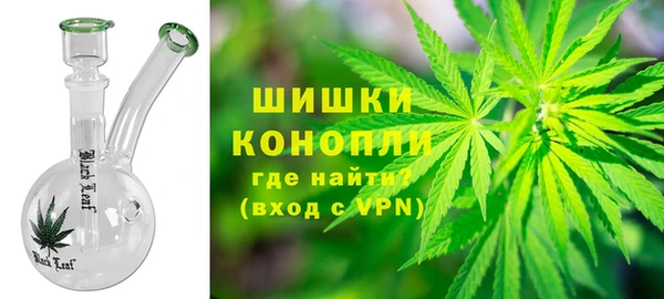 сатива Горняк