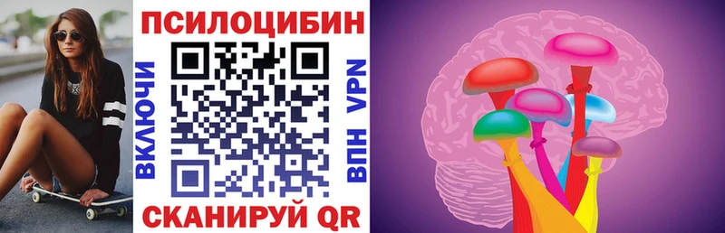 Купить  Арск  Псилоцибиновые грибы Psilocybine cubensis 